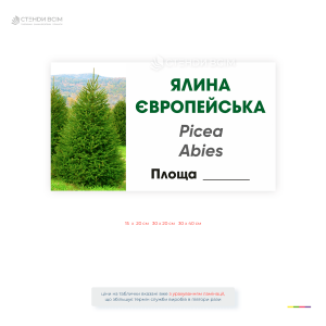 Информационная пластиковая табличка «Ель европейская» (Picea Abies) для ботанических садов, дендропарков, лесничеств и парков. Устойчива к погодным условиям, содержит украинское и латинское названия растения.