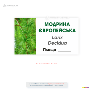 Інформаційна табличка «Модрина європейська» (Larix decidua) для позначення дерев у ботанічних садах, дендропарках, парках, лісництвах та природоохоронних територіях.