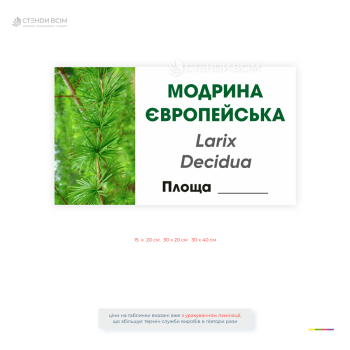 Информационная табличка «Европейская лиственница» (Larix decidua) для обозначения деревьев в ботанических садах, дендропарках, парках, лесничествах и природоохранных территориях.