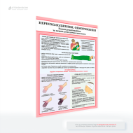 Плакат «Перша допомога при переохолодженні, обмороженні», який сприяє підвищенню рівня обізнаності та може зменшити ймовірність критичних станів, забезпечуючи людям базові знання, як діяти в небезпечних ситуаціях.