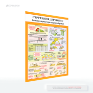 Плакат з охорони праці при деревообробці «Стругання деревини», який розміщують безпосередньо в цехах, де проводиться стругання деревини, поблизу обладнання, щоб працівники мали постійний візуальний доступ до інформації про безпеку.