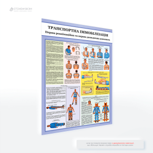 Плакат «Транспортная иммобилизация», на котором изображены различные способы иммобилизации, включая шины для рук и ног, иммобилизацию позвоночника, технику фиксации, использование подручных средств, этапы транспортировки пострадавшего.