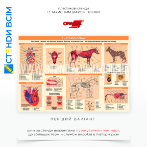 «Стенды для кинологов» – это специальные информационные или обучающие панели, которые используются для обучения, демонстрации и тренировок служебных собак, а также для подготовки кинологов (людей, занимающихся профессиональной тренировкой собак).