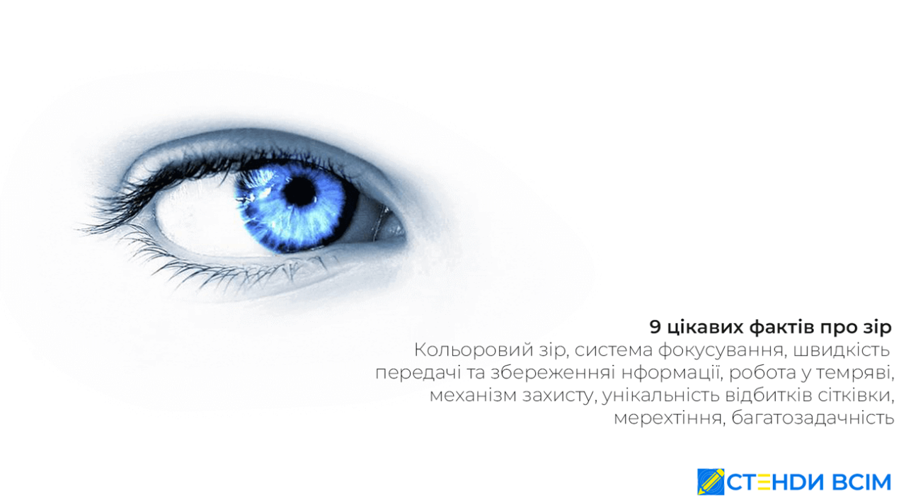 9 цікавих фактів про зір