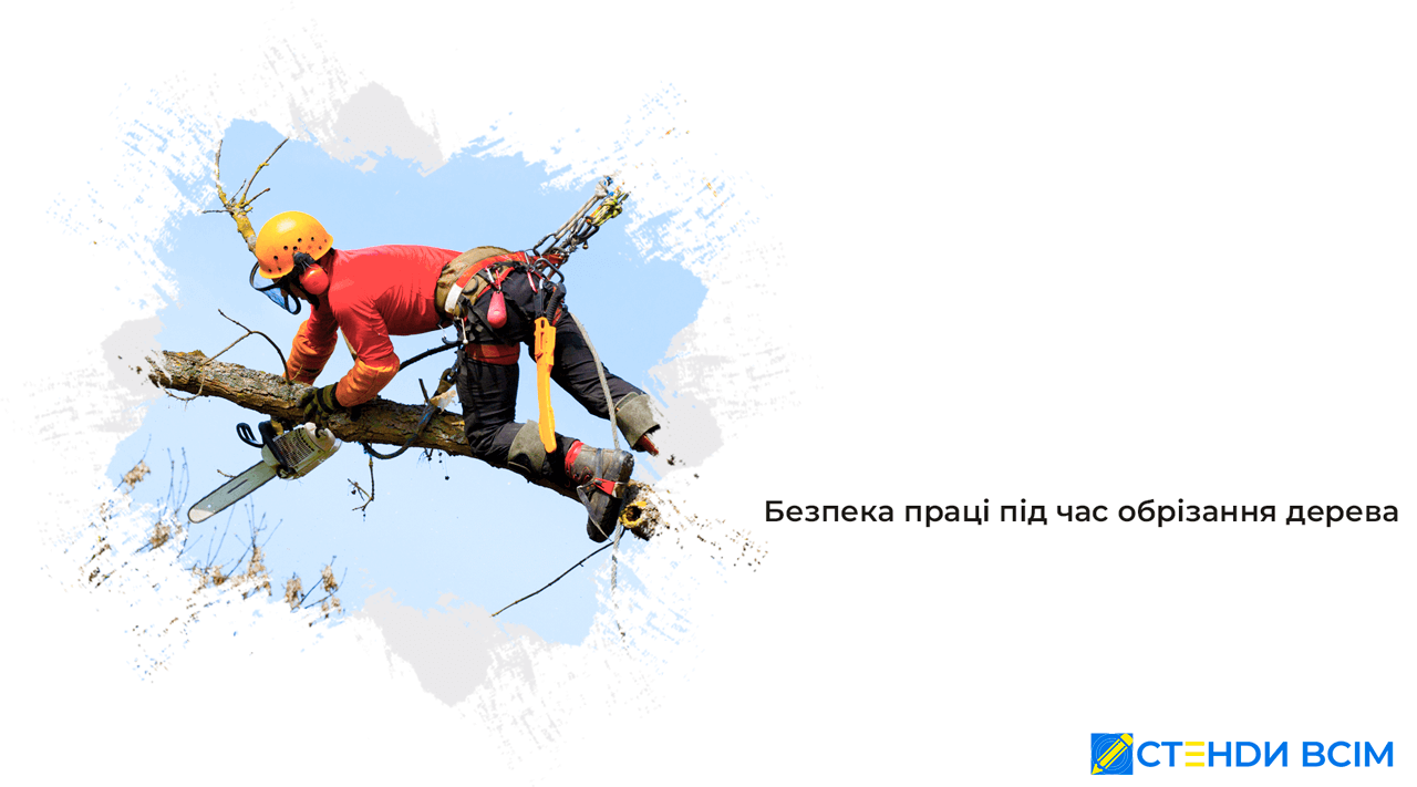 Безпека праці під час обрізання дерева