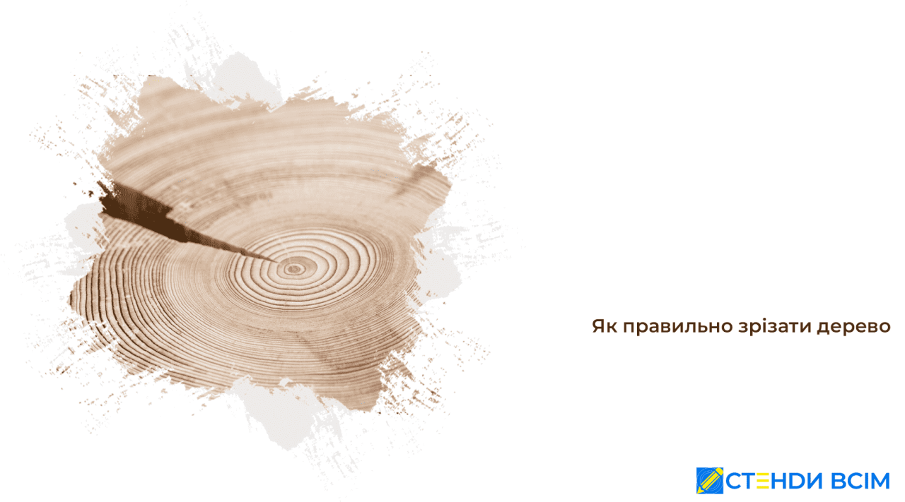 Як правильно зрізати дерево
