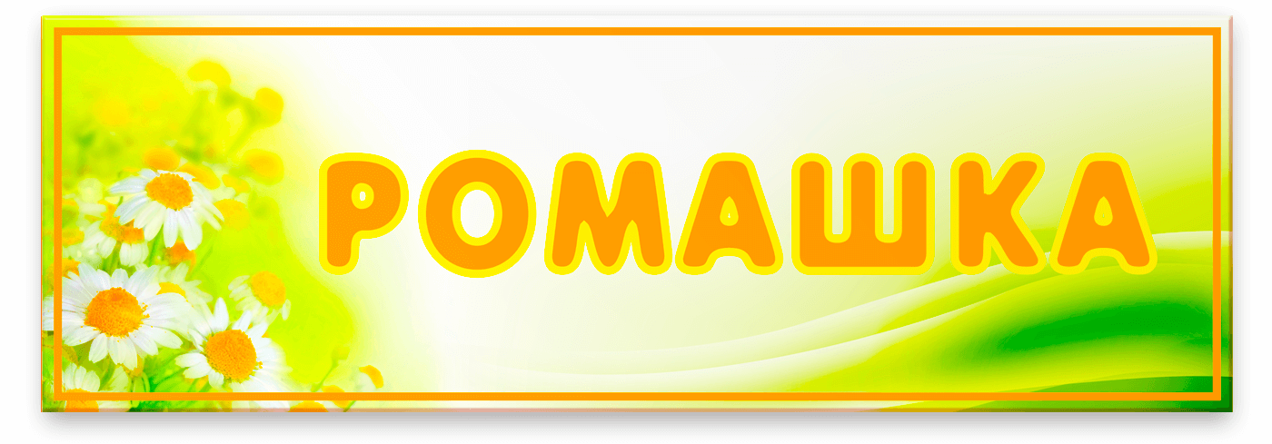 Табличка Ромашки